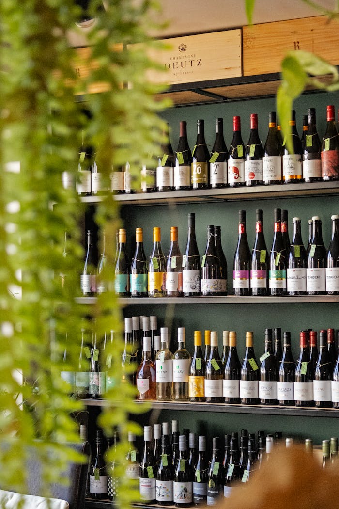 A vibrant display of wine bottles on shelves with green plants adding an inviting atmosphere.